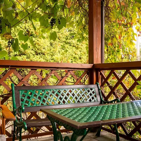 Na Jurze Z Widokiem Na Zamek Jacuzzi Sauna Beczka * Ogrodzieniec