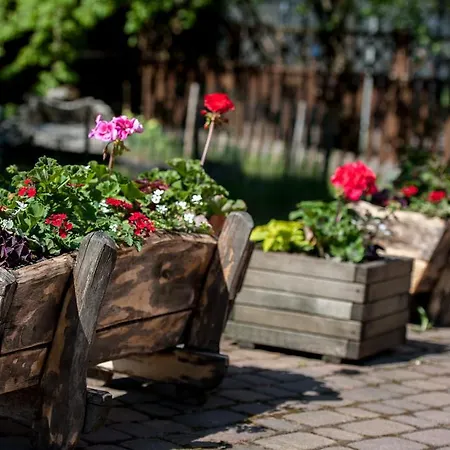 Landhuis Na Jurze Z Widokiem Na Zamek Jacuzzi Sauna Beczka Wypozyczalnia Rowerow Elektrycznych Basen *