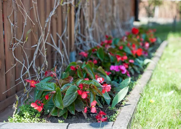 בית כפרי Na Jurze Z Widokiem Na Zamek Jacuzzi Sauna Beczka *