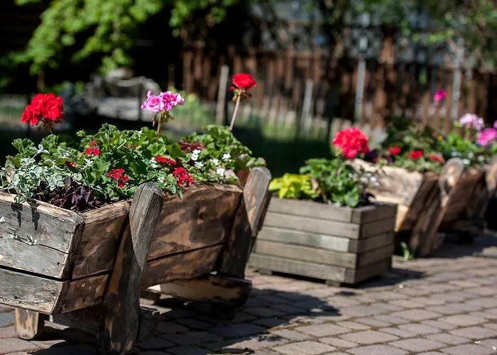 Εξοχικό σπίτι Agroturystyka Na Jurze Apartamenty Z Widokiem Na Zamek Jacuzzi Sauna Beczka Wypozyczalnia Rowerow Elektrycznych *